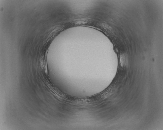 X0000072491444200608041404