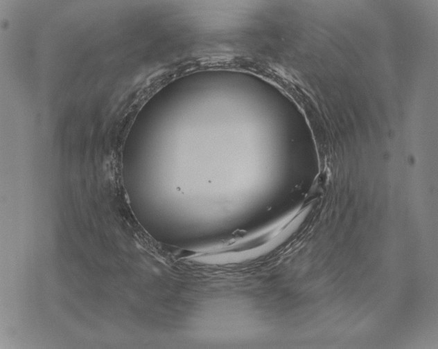 X0000072491445200608041404