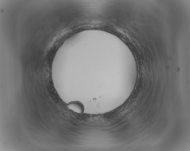 X0000072491447200608041404