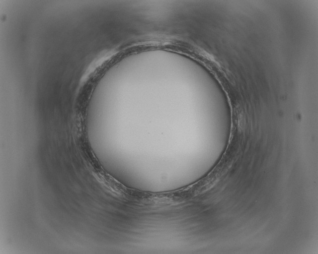 X0000072491448200608041404