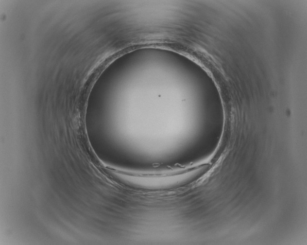 X0000072491449200608041404