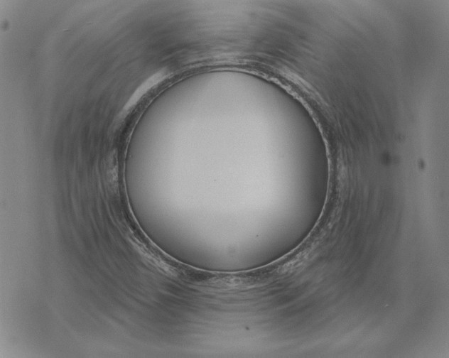 X0000072491450200608041404