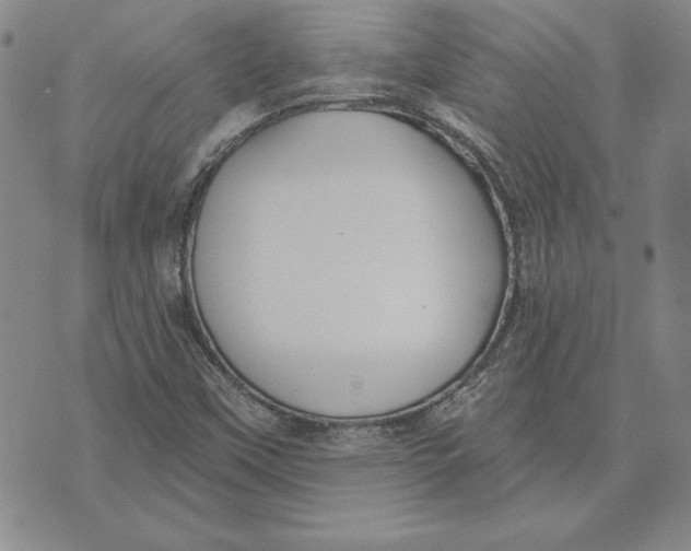 X0000072491451200608041404