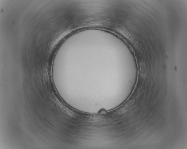 X0000072491452200608041404