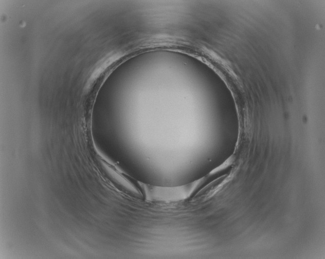 X0000072491453200608041404