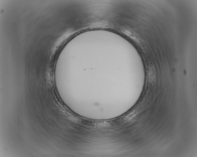 X0000072491454200608041404