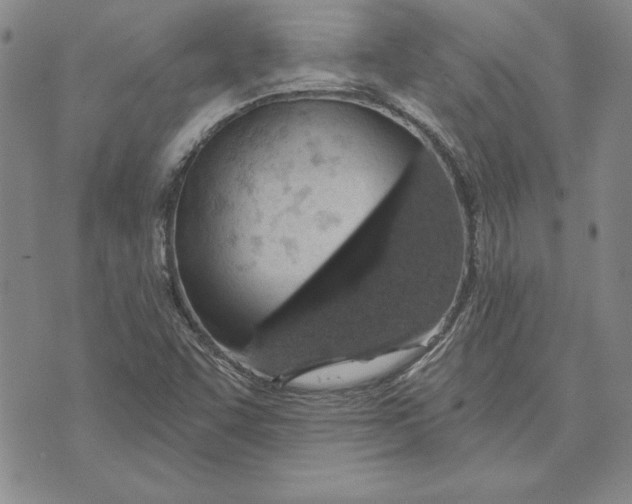 X0000072491455200608041404