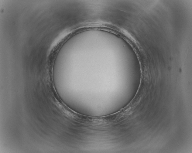 X0000072491456200608041404