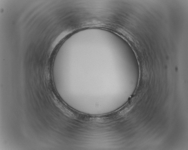 X0000072491458200608041404