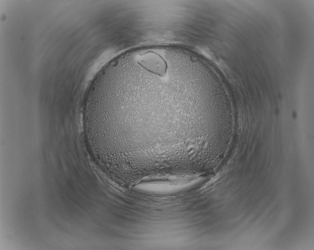 X0000072491459200608041404