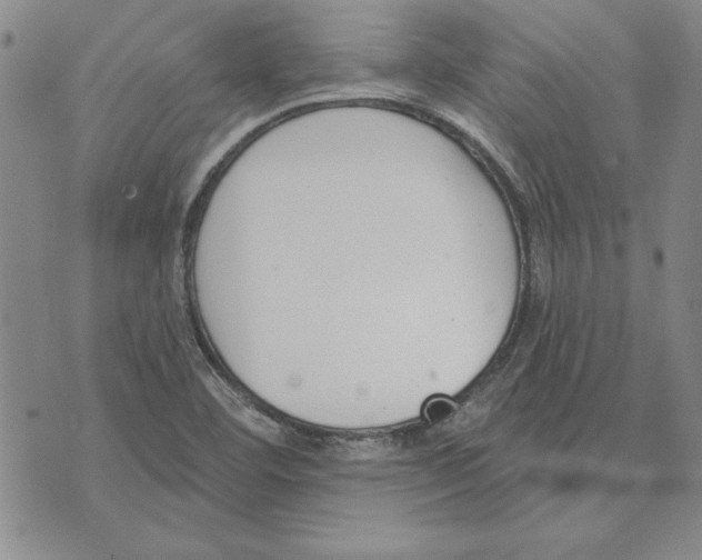 X0000072491460200608041404