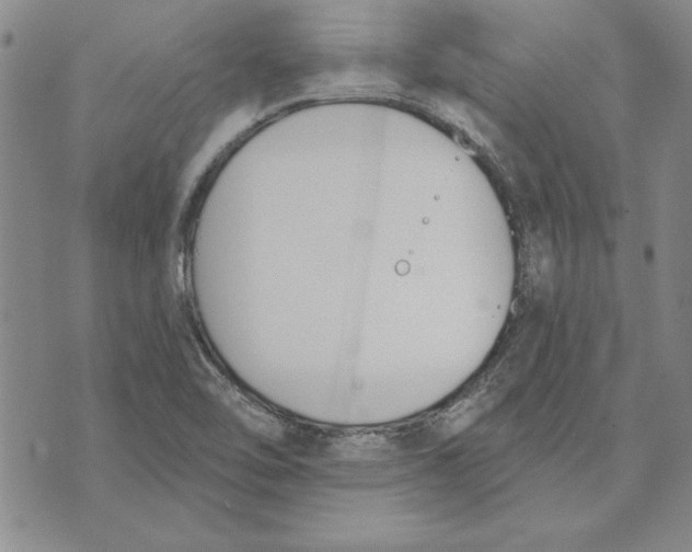 X0000072491462200608041404