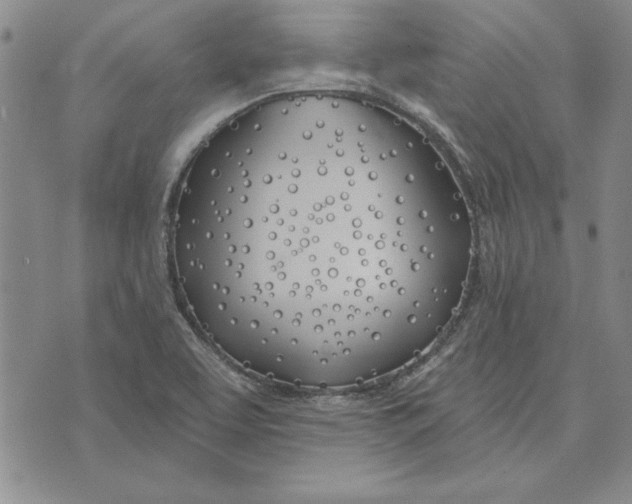 X0000072491463200608041404