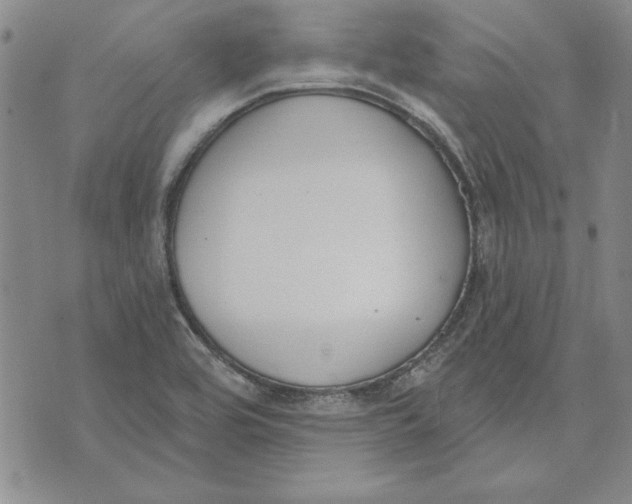 X0000072491464200608041404