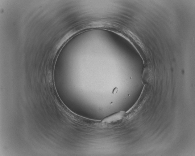 X0000072491465200608041404