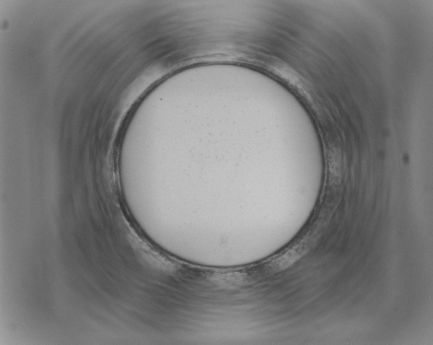 X0000072491466200608041403