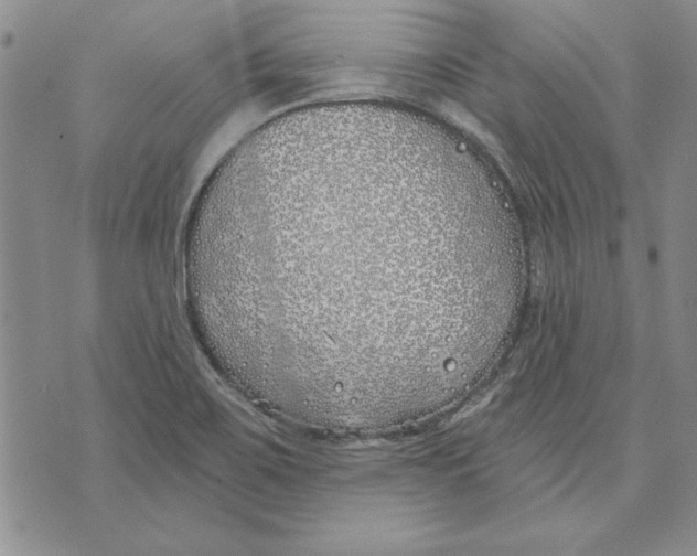 X0000072491467200608041403