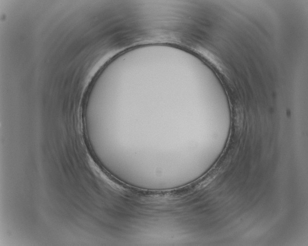 X0000072491468200608041403