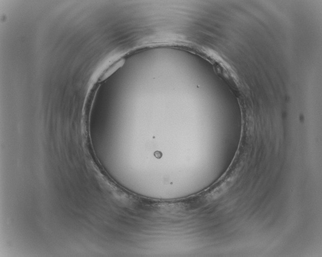 X0000072491469200608041403