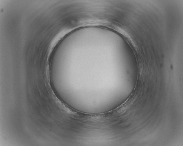 X0000072491472200608041403