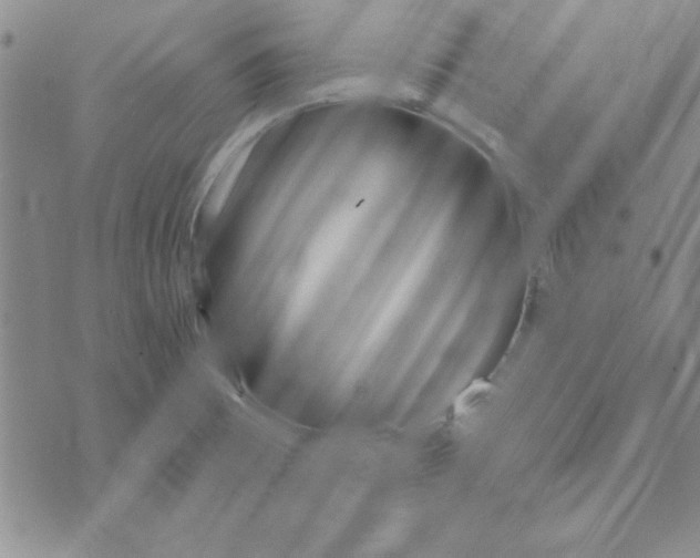 X0000072491473200608041403