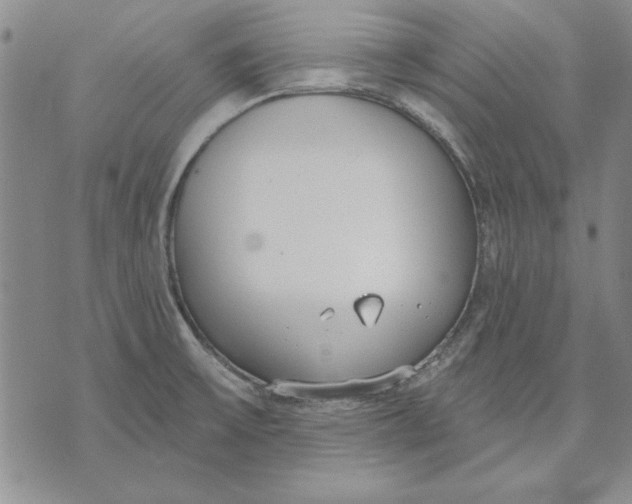 X0000072491475200608041403