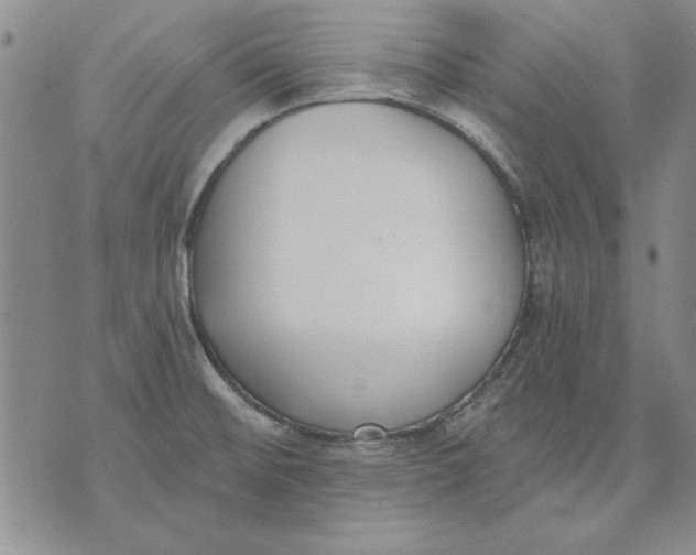 X0000072491476200608041403