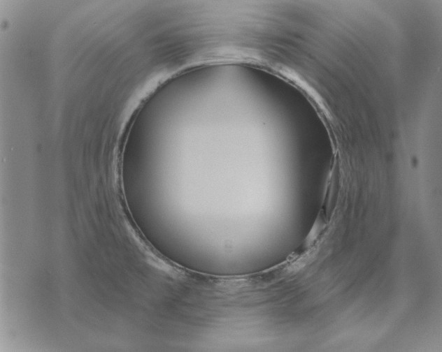 X0000072491477200608041403