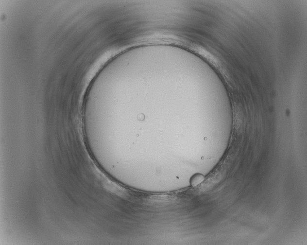 X0000072491478200608041403