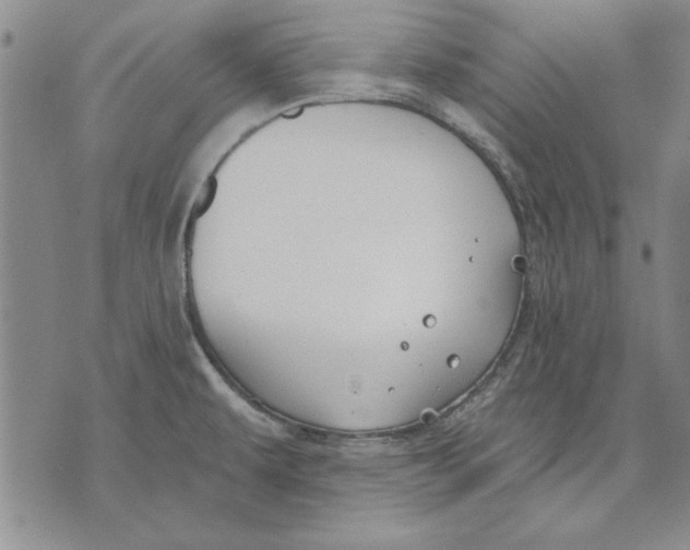 X0000072491479200608041403