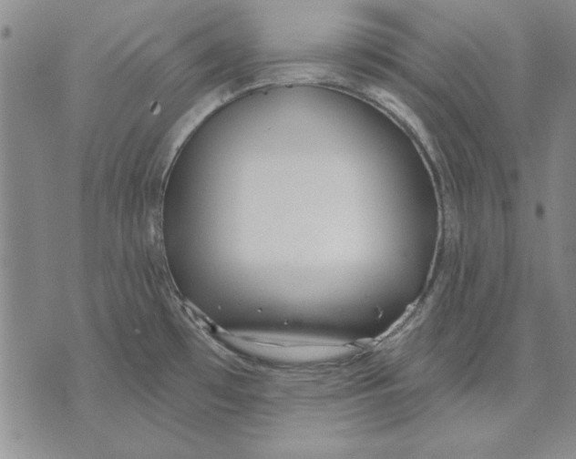 X0000072491481200608041403