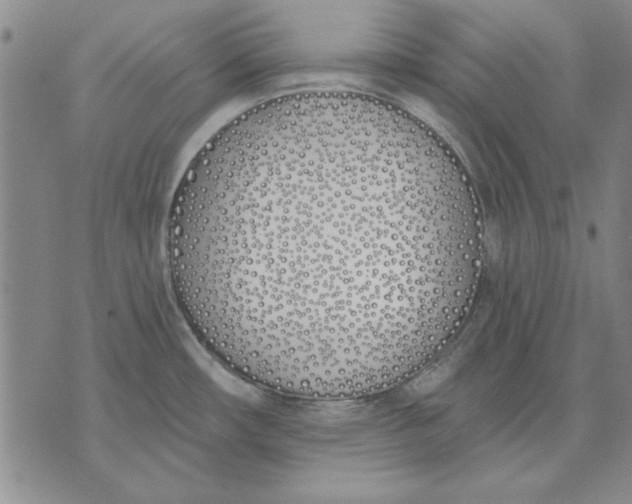 X0000072491482200608041403