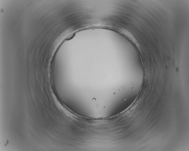 X0000072491483200608041403