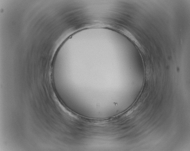 X0000072491484200608041403