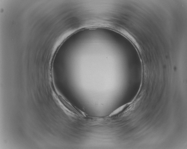 X0000072491485200608041403