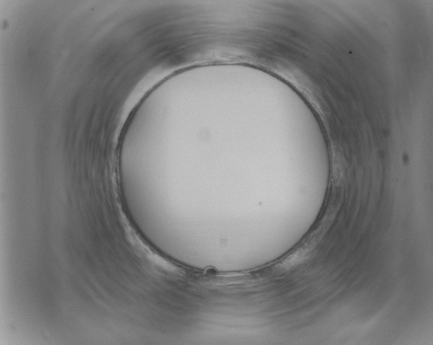 X0000072491486200608041403