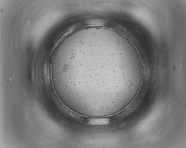 X0000072491487200608041403