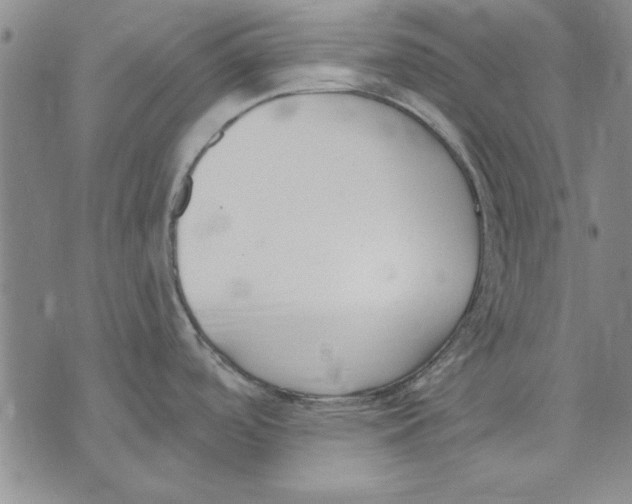 X0000072491488200608041403