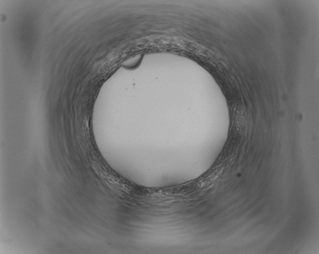 X0000072491489200608041402