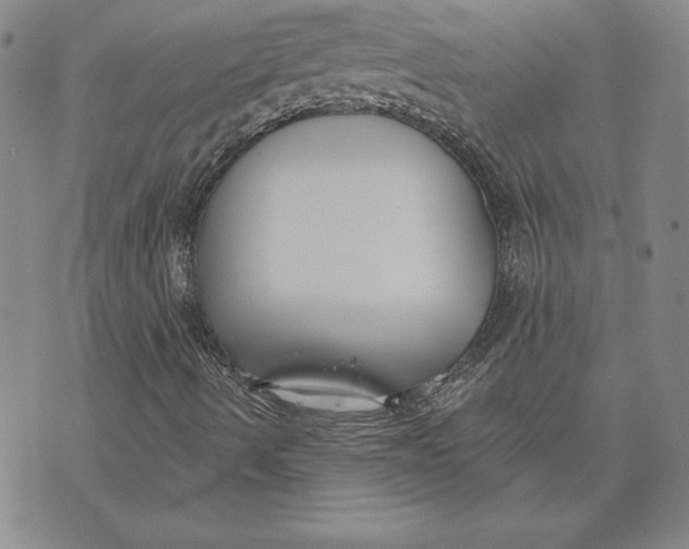 X0000072491490200608041402