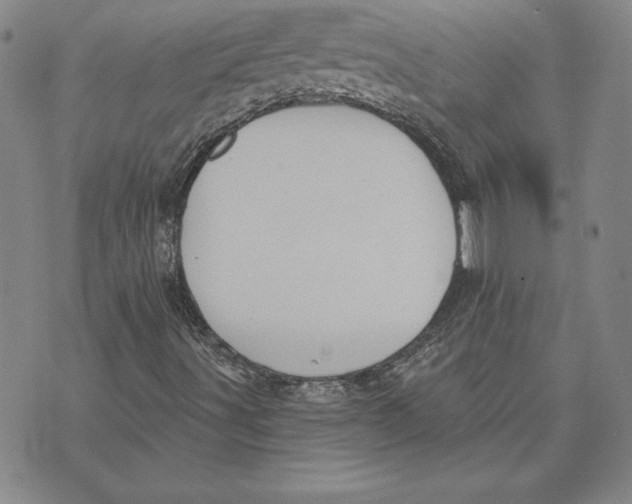 X0000072491491200608041402