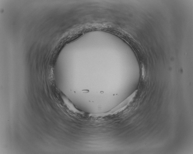 X0000072491492200608041402