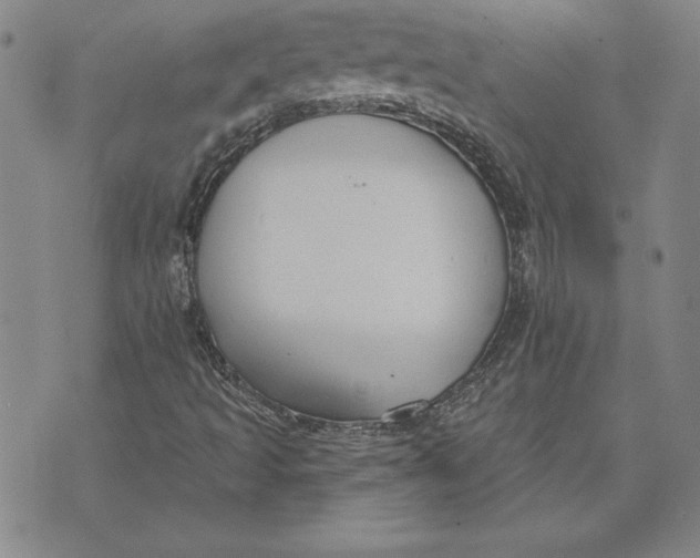 X0000072491493200608041402