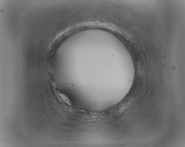 X0000072491494200608041402