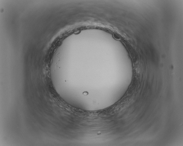 X0000072491495200608041402