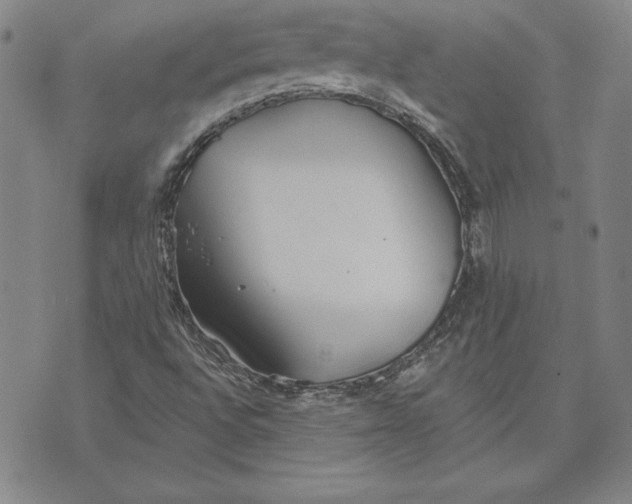 X0000072491496200608041402