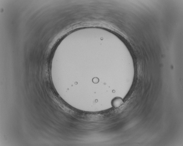 X0000072491498200608041402