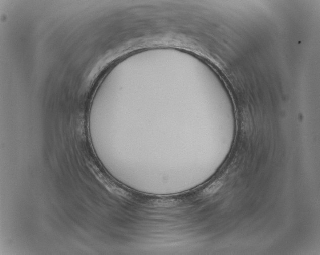 X0000072491499200608041403