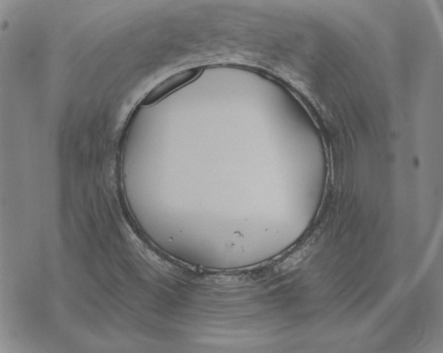 X0000072491500200608041403