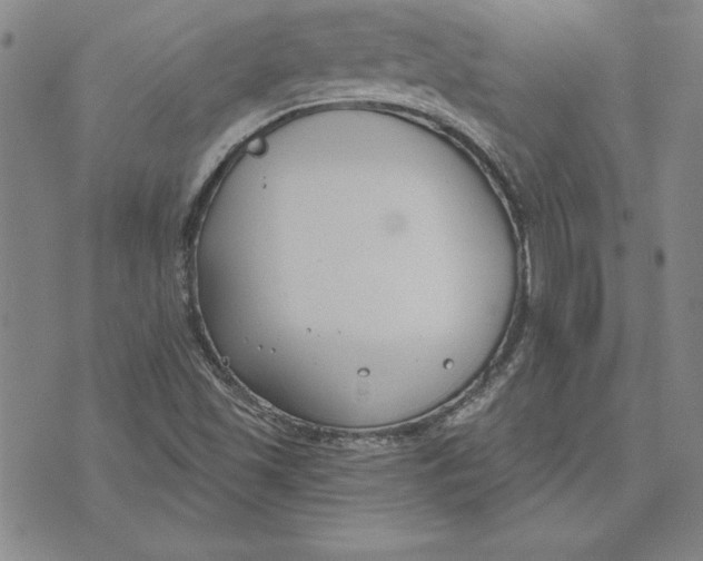 X0000072491501200608041403